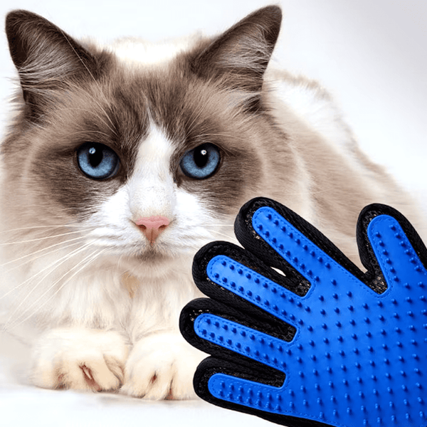 PetGlove™ 🧤Guantes Quita Pelo Para Mascotas🐶 - [PROMOCIÓN DISPONIBLE SOLO HOY]