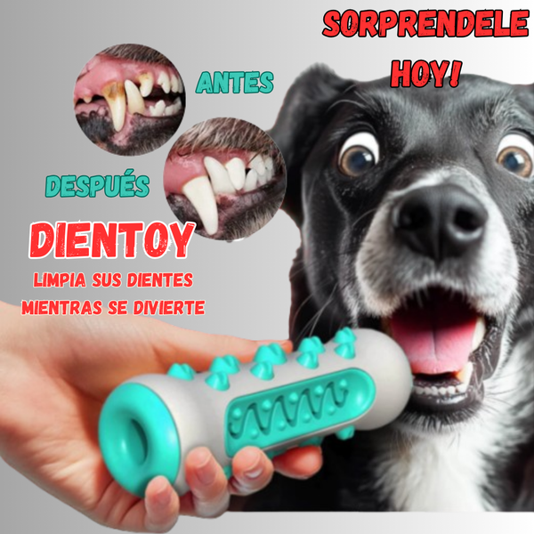 Dientoy™ Jueguete Limpiadientes para Perros - [PROMOCIÓN DISPONIBLE SOLO HOY]
