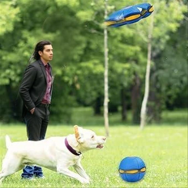 FlyPet™ - Diversión Que Vuela, Energía Que Se Libera