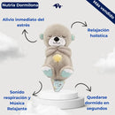 CalmyBear™  El Osito que Te Relaja con su Respiración - [PROMOCIÓN DISPONIBLE SOLO HOY]