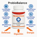 FloraMax – 7 cepas para tu salud digestiva e inmunidad