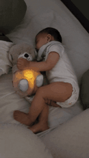 CalmyBear™  El Osito que Te Relaja con su Respiración - [PROMOCIÓN DISPONIBLE SOLO HOY]