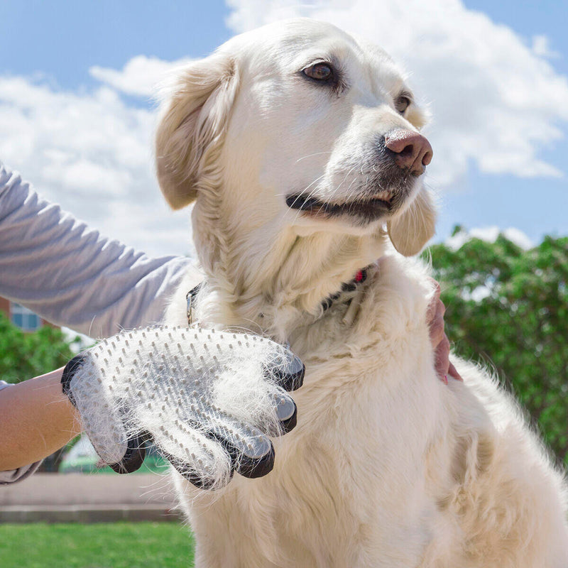 PeluditoCare™ Guante Cepillador y Masajeador para Mascotas - [PROMOCIÓN DISPONIBLE SOLO HOY]