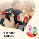 RolliClean - Tu Aliado Diario Contra Los Pelos